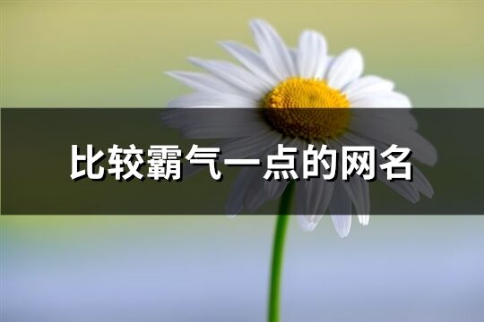 比較霸氣一點的網名(732個)