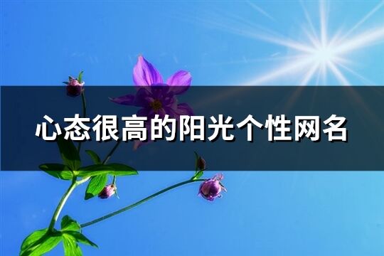 心態很高的陽光個性網名(367個)