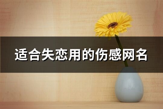 適合失戀用的傷感網名(496個)