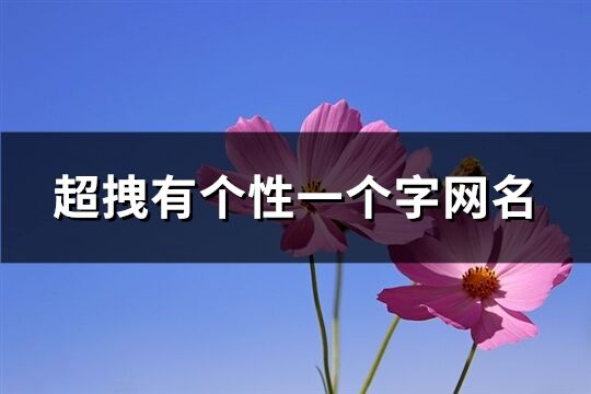 超拽有個性一個字網名(優選130個)