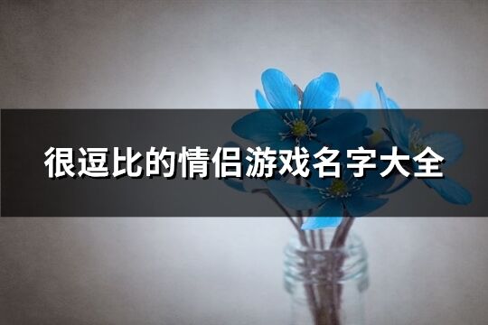 很逗比的情侶游戲名字大全(92個)