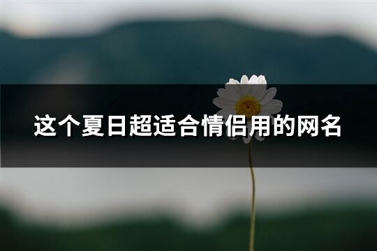 這個夏日超適合情侶用的網名(精選115個)