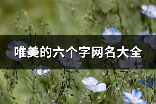 唯美的六個(gè)字網(wǎng)名大全(優(yōu)選489個(gè))