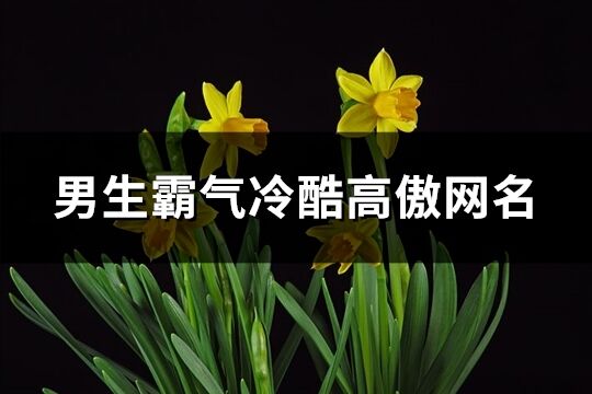 男生霸氣冷酷高傲網(wǎng)名(優(yōu)選538個(gè))
