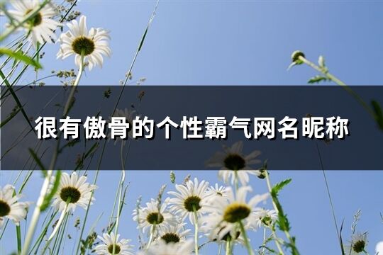 很有傲骨的個(gè)性霸氣網(wǎng)名昵稱(優(yōu)選195個(gè))