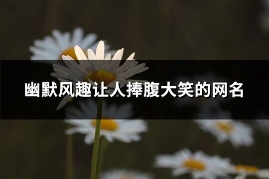 幽默風趣讓人捧腹大笑的網名(精選261個)