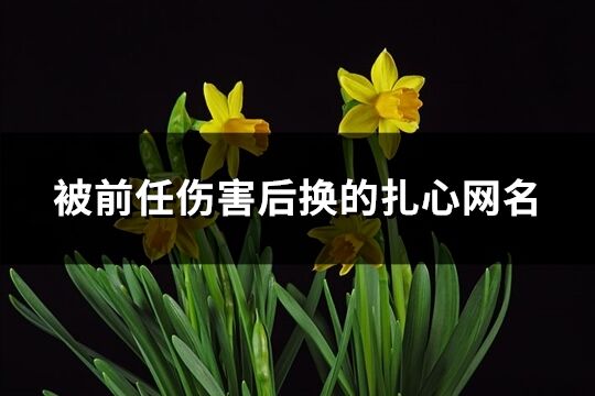 被前任傷害后換的扎心網名(170個)