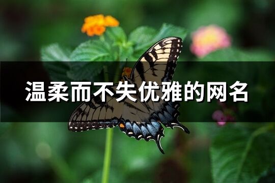 溫柔而不失優雅的網名(精選295個)
