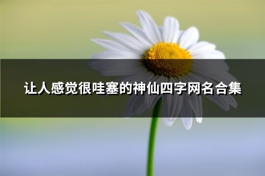 讓人感覺很哇塞的神仙四字網名合集(299個)