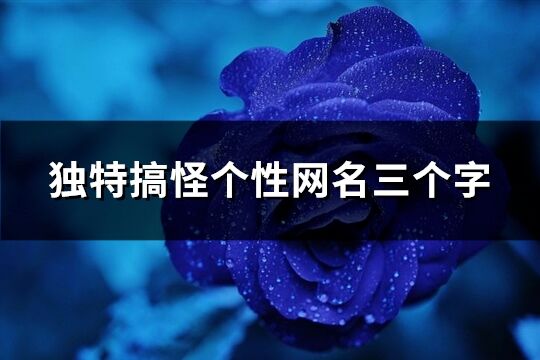 獨特搞怪個性網名三個字(精選281個)
