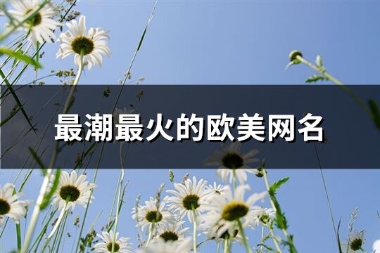 最潮最火的歐美網名(精選141個)