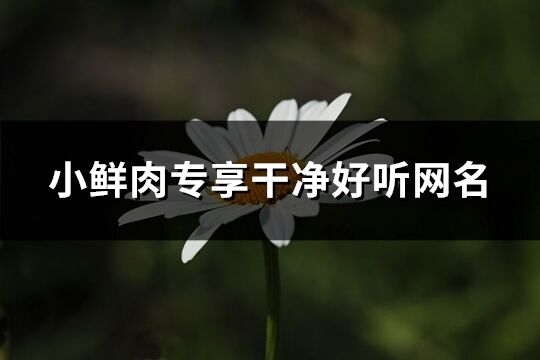 小鮮肉專享干凈好聽網名(優選605個)