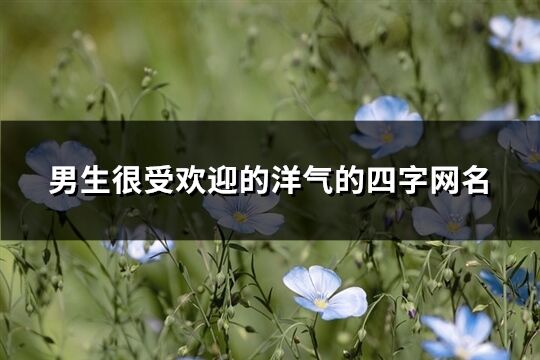 男生很受歡迎的洋氣的四字網名(精選532個)