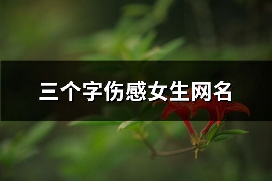 三個字傷感女生網名(優選768個)