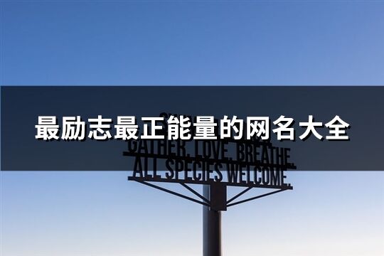最勵志最正能量的網名大全(250個)