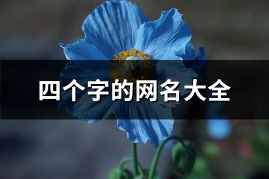 四個(gè)字的網(wǎng)名大全(精選1671個(gè))