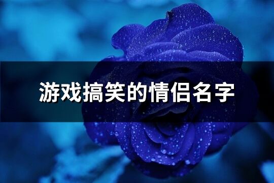 游戲搞笑的情侶名字(106個(gè))