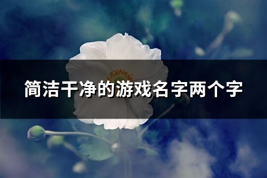 簡潔干凈的游戲名字兩個字(共537個)