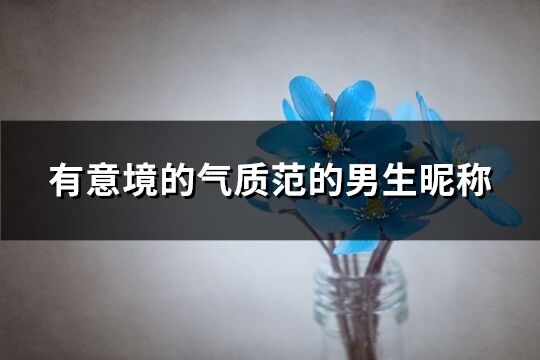 有意境的氣質范的男生昵稱(223個)