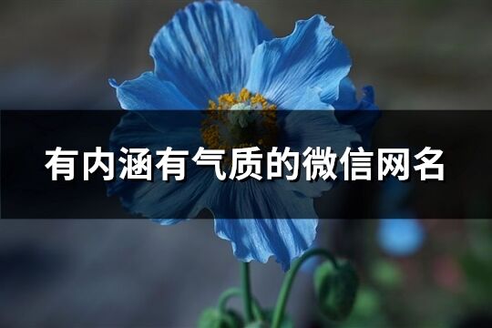有內(nèi)涵有氣質(zhì)的微信網(wǎng)名(1001個)