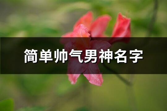 簡單帥氣男神名字(625個)
