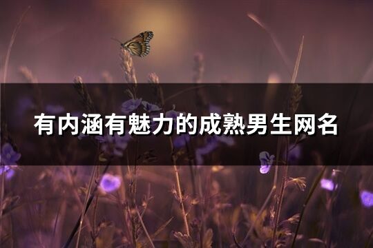 有內涵有魅力的成熟男生網名(282個)