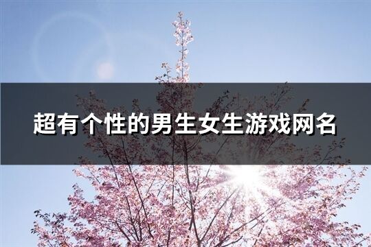超有個性的男生女生游戲網名(298個)