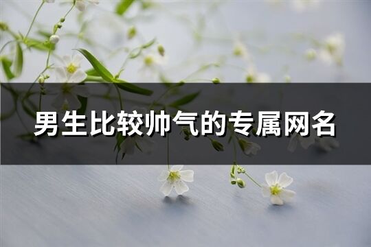 男生比較帥氣的專屬網名(優選505個)