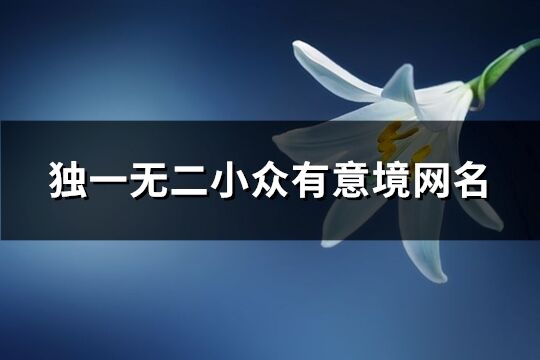獨(dú)一無二小眾有意境網(wǎng)名(精選345個)