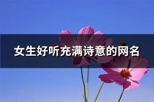女生好聽充滿詩意的網(wǎng)名(優(yōu)選292個(gè))