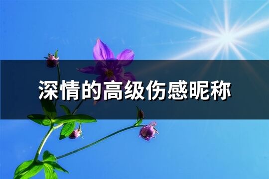 深情的高級傷感昵稱(61個)