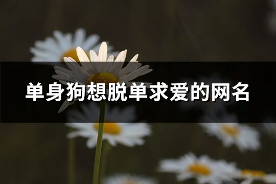 單身狗想脫單求愛(ài)的網(wǎng)名(514個(gè))