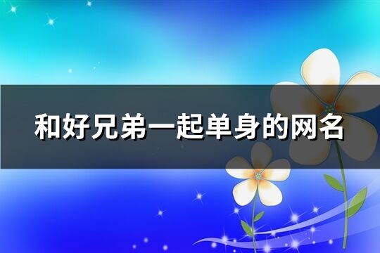和好兄弟一起單身的網名(共87個)
