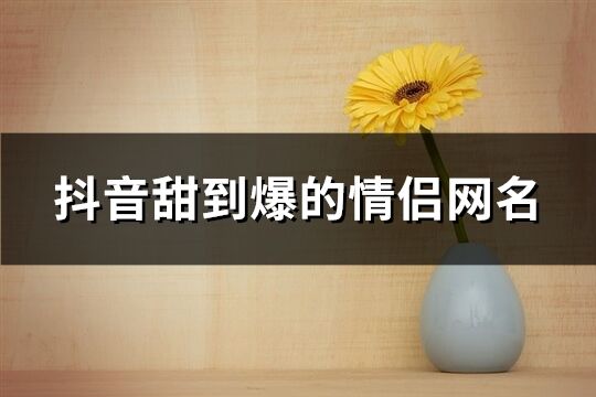 抖音甜到爆的情侶網名(151個)