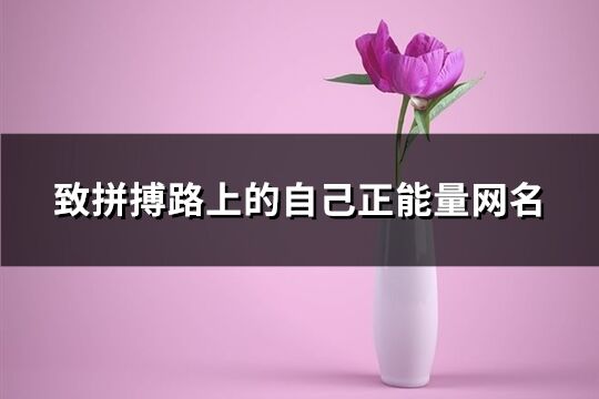致拼搏路上的自己正能量網名(優選164個)