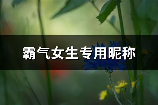 霸氣女生專用昵稱(優(yōu)選555個(gè))