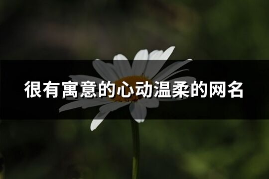 很有寓意的心動溫柔的網名(共373個)