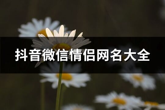 抖音微信情侶網名大全(共128個)