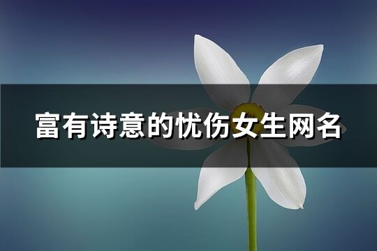 富有詩意的憂傷女生網名(精選193個)