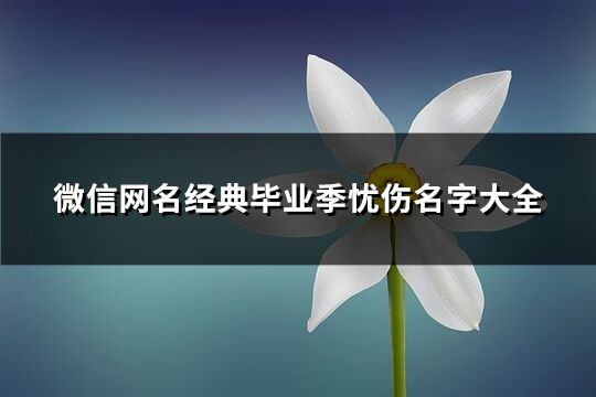 微信網(wǎng)名經(jīng)典畢業(yè)季憂傷名字大全(共182個(gè))