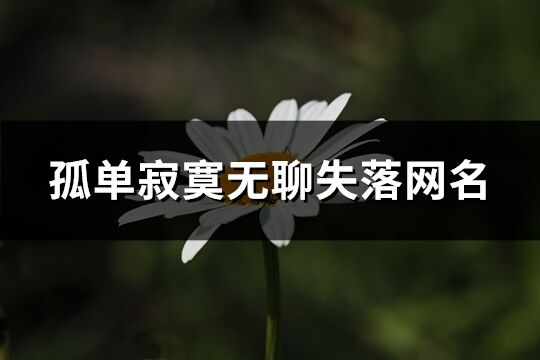 孤單寂寞無聊失落網名(優選224個)