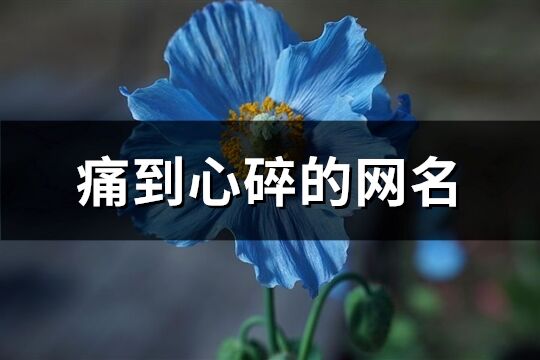 痛到心碎的網(wǎng)名(優(yōu)選473個)