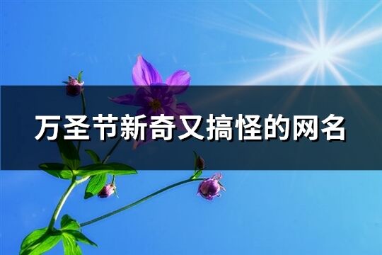 萬圣節新奇又搞怪的網名(140個)