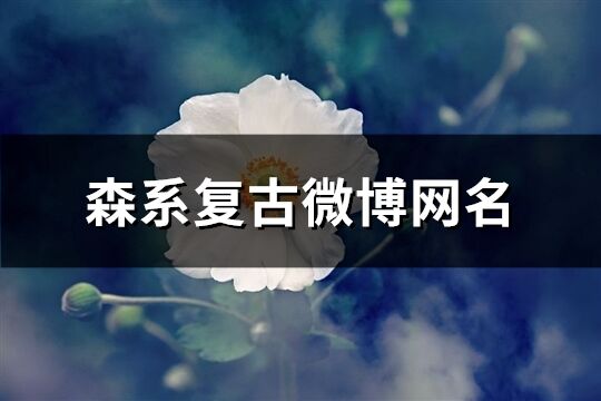 森系復古微博網名(134個)