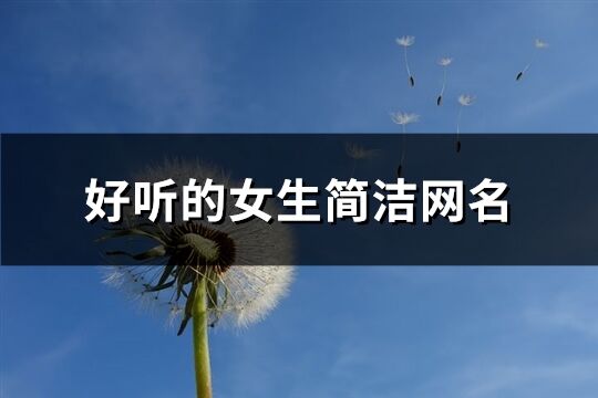 好聽的女生簡潔網名(共830個)