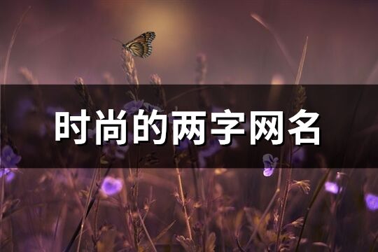 時尚的兩字網名(精選409個)