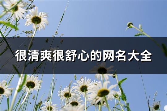 很清爽很舒心的網名大全(精選423個)