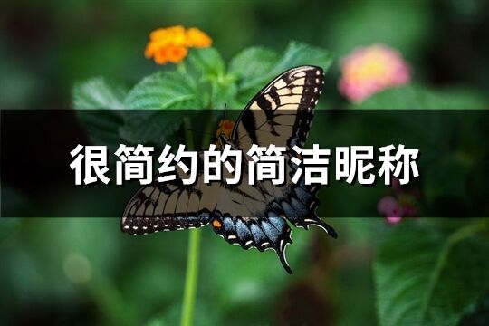 很簡(jiǎn)約的簡(jiǎn)潔昵稱(466個(gè))