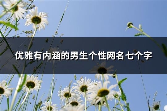 優(yōu)雅有內(nèi)涵的男生個性網(wǎng)名七個字(精選178個)
