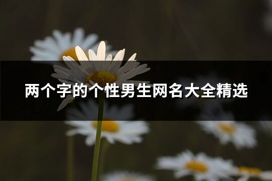 兩個字的個性男生網名大全精選(780個)